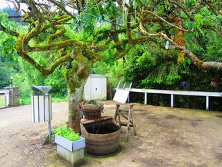 Maison de vacances La Roche-en-Ardenne Enregistrement extérieur 2
