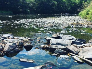 Vakantiehuis La Roche-en-Ardenne Omgeving 36