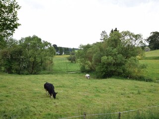 Vakantiehuisje Bertogne Buitenaudio-opname 5
