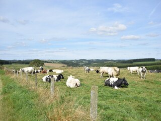 Casa vacanze Bertogne Ambiente 27
