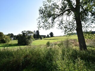 Vakantiehuisje Bertogne Omgeving 29