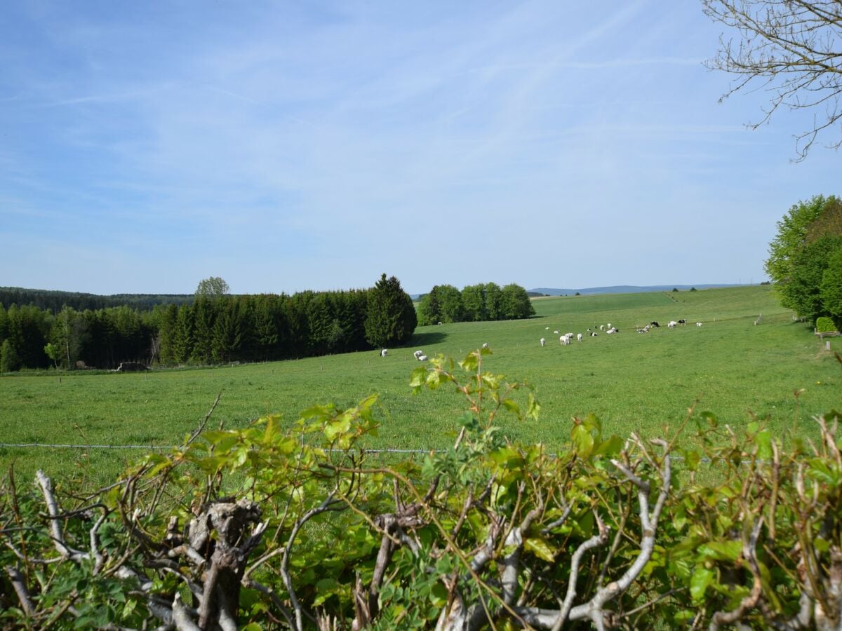 Ferienhaus La Roche-en-Ardenne Umgebung 32