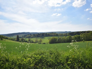 Ferienhaus La Roche-en-Ardenne Umgebung 31
