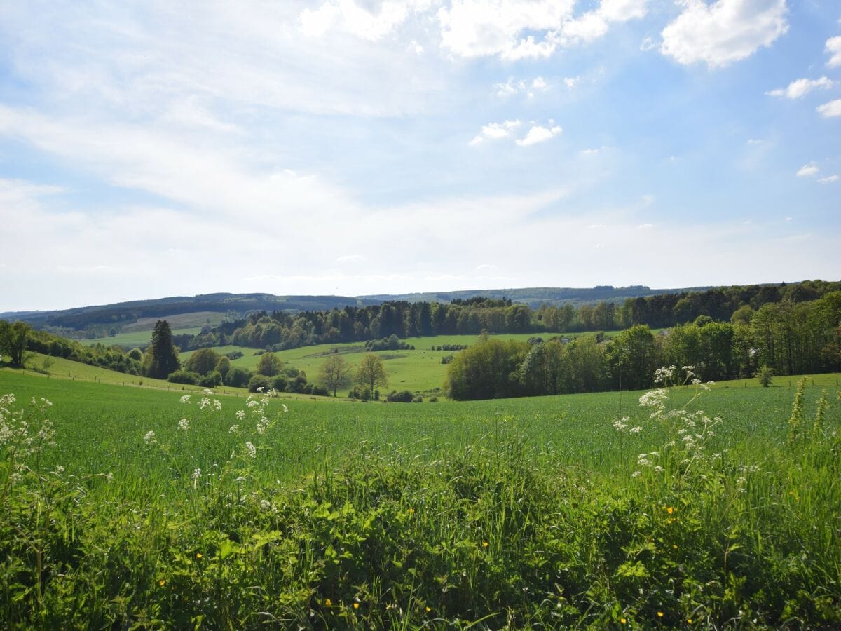 Ferienhaus La Roche-en-Ardenne Umgebung 33