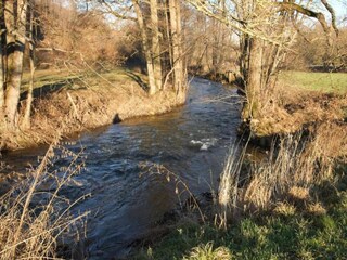 Appartement Barvaux-sur-Ourthe Environnement 37