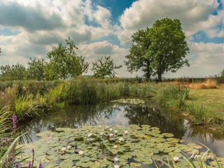 Ferienhaus Kemmel Umgebung 33