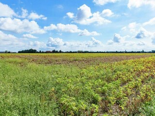 Vakantiehuis Kemmel Omgeving 40