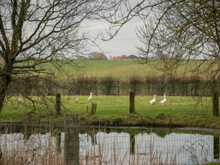 Vakantiehuis Kemmel Omgeving 27