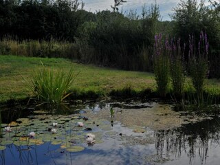 Vakantiehuis Kemmel Omgeving 28