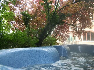 Type de propriété : Chalet Vloesberg  38