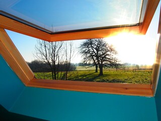 Ferienhaus Ellezelles Außenaufnahme 6