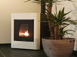 Vakantiehuis Ellezelles Kenmerken 20