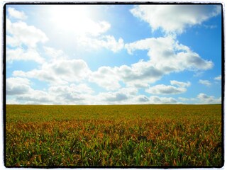 Casa per le vacanze Ellezelles Ambiente 35