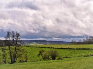 Casa de vacaciones Ellezelles Entorno 31