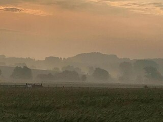 Casa de vacaciones Ellezelles Entorno 28