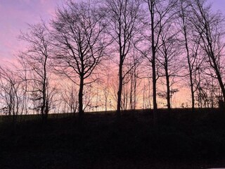 Ferienhaus Ellezelles Umgebung 31