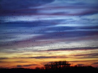 Holiday house Ellezelles Environment 34