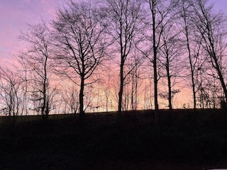 Holiday house Ellezelles Environment 29