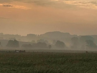 Ferienhaus Ellezelles Umgebung 31