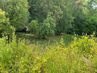 Casa de vacaciones Ellezelles Entorno 32