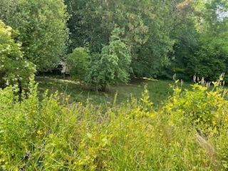 Ferienhaus Ellezelles Umgebung 32