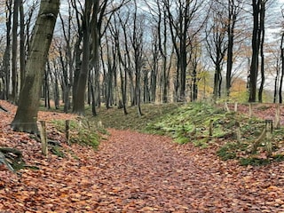 Holiday house Ellezelles Environment 33