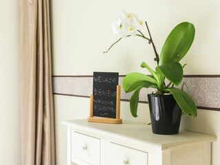 Holiday house Zedelgem  39