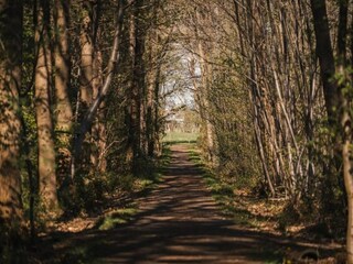 Vakantiehuis Zedelgem Omgeving 22