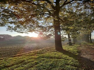 Casa per le vacanze Zedelgem Ambiente 26