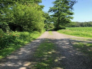 Vakantiehuis Zedelgem Omgeving 33