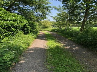 Vakantiehuis Zedelgem Omgeving 35