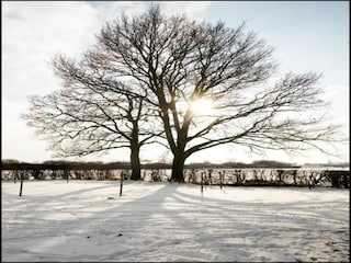 Ferienhaus Zedelgem Umgebung 31