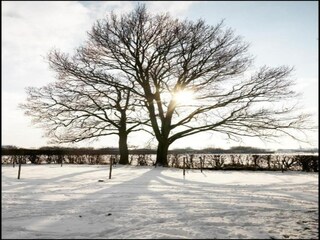 Maison de vacances Zedelgem Environnement 30