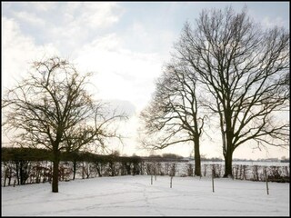 Vakantiehuis Zedelgem Omgeving 37