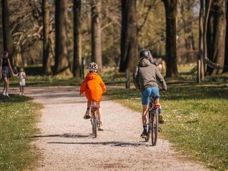 Casa per le vacanze Zedelgem Ambiente 35