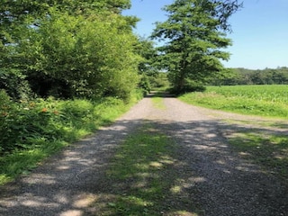 Ferienhaus Zedelgem Umgebung 24