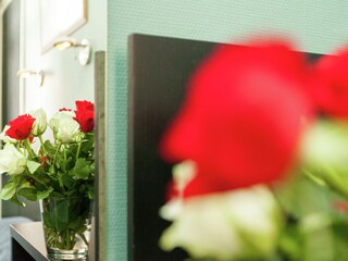 Holiday house Blankenberge  38