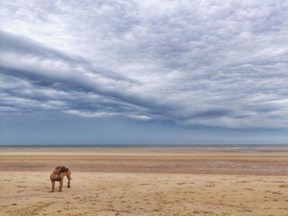 Casa per le vacanze Bredene Ambiente 34