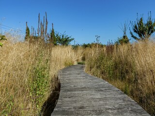 Boerderij Poperinge Omgeving 26