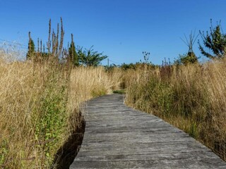 Boerderij Poperinge Omgeving 31