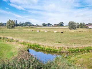 Maison flottante Ieper Environnement 31