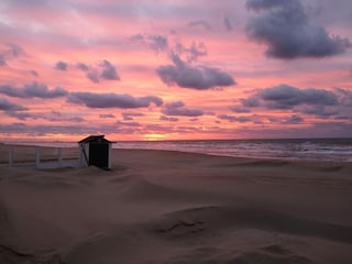 Maison de vacances Koksijde Environnement 39