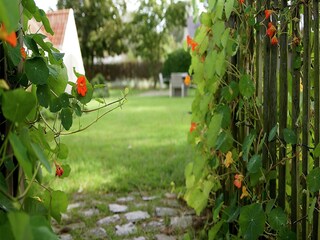 Casa de vacaciones Oostduinkerke Grabación al aire libre 4
