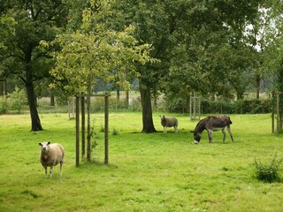 Vakantiehuis Beernem Omgeving 34