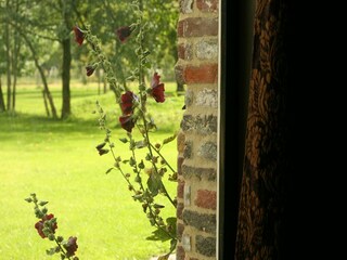 Casa de vacaciones Beernem Grabación al aire libre 1