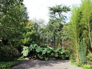 Landhaus Beernem Außenaufnahme 2