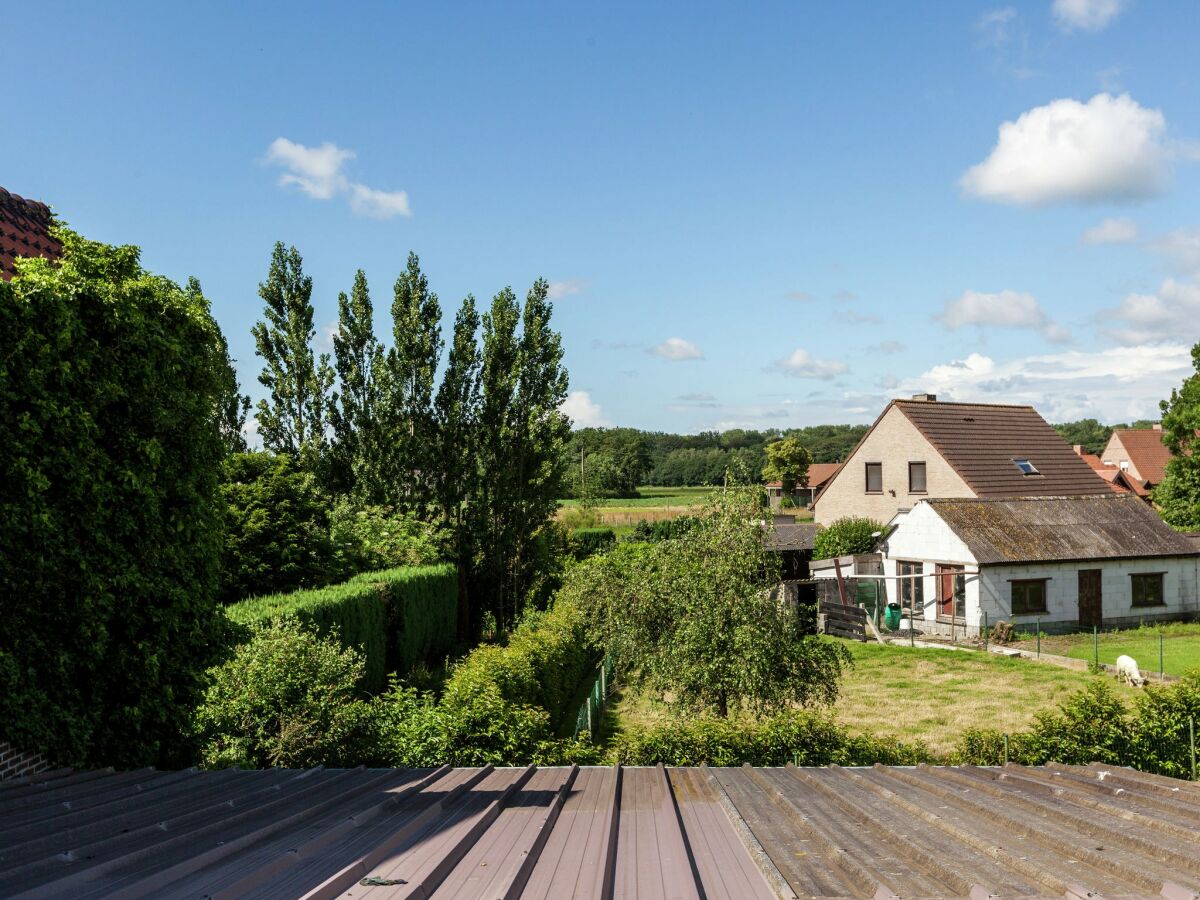 Type de propriété : Chalet Beernem Enregistrement extérieur 1