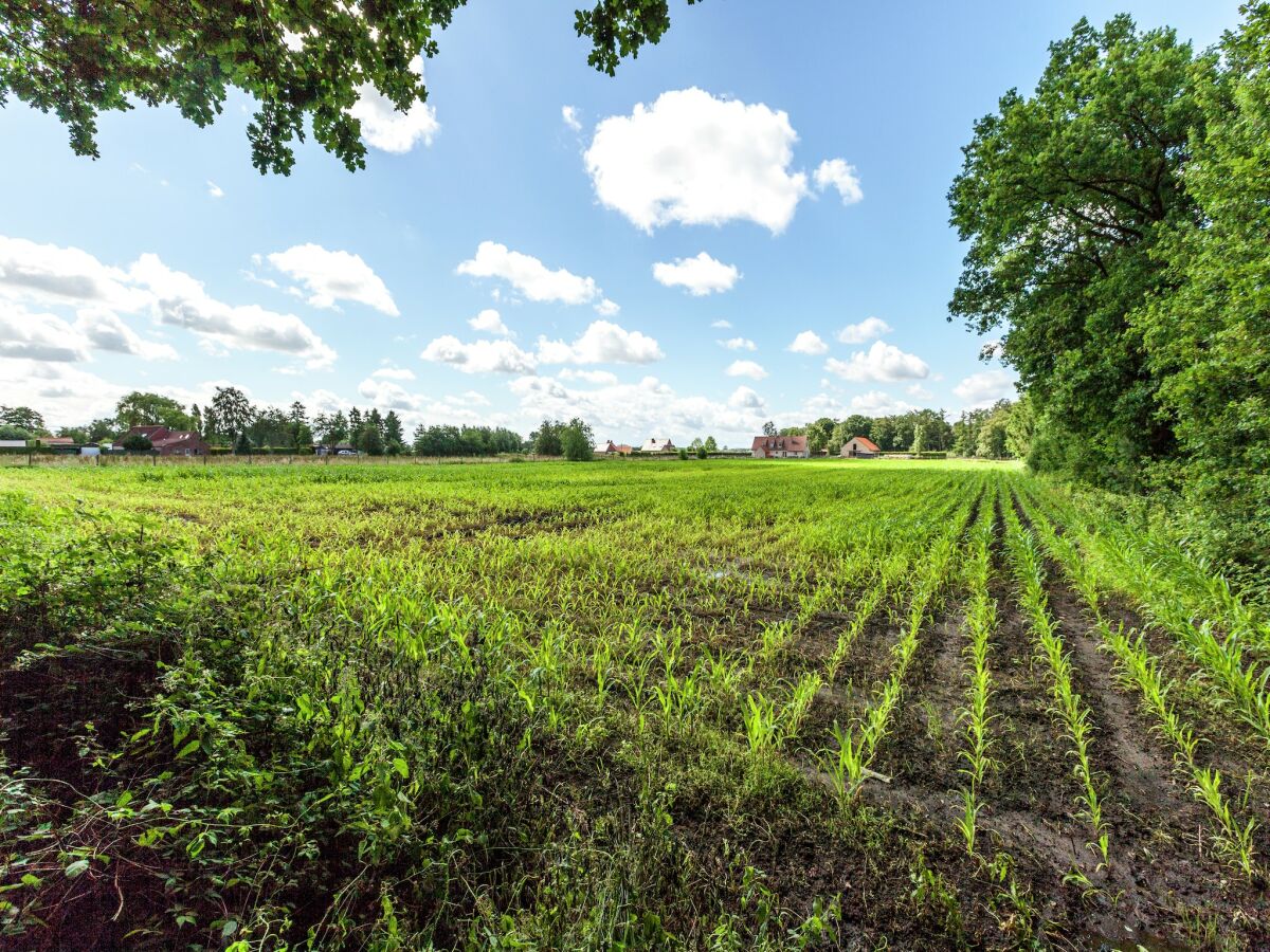 Landhaus Beernem Außenaufnahme 7