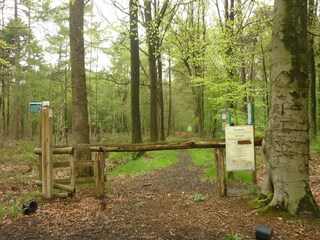 Casa de campo Beernem Entorno 37