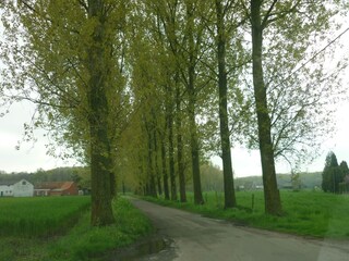 Vakantiehuisje Beernem Omgeving 35